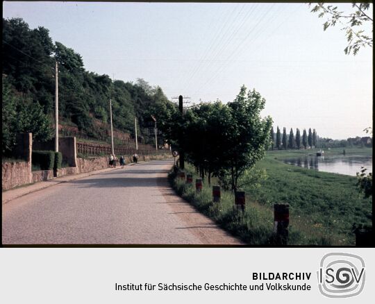 Straße an der Elbe bei Zadel