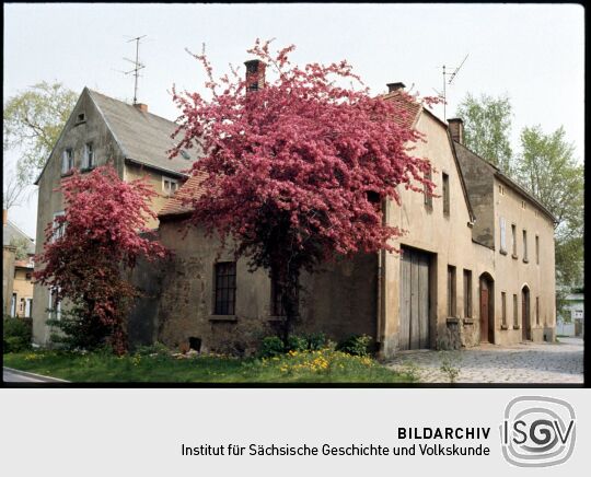 Blühender Kirschbaum Gebäude in Bischorfswerda