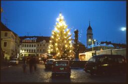 Bild: Beleuchteter Weihnachtsbaum des Weihnachtsmarktes in Bischofswerda