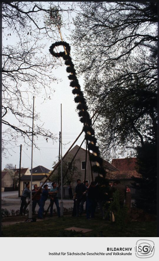 Aufstellen des Maibaums in Schiedel 1995