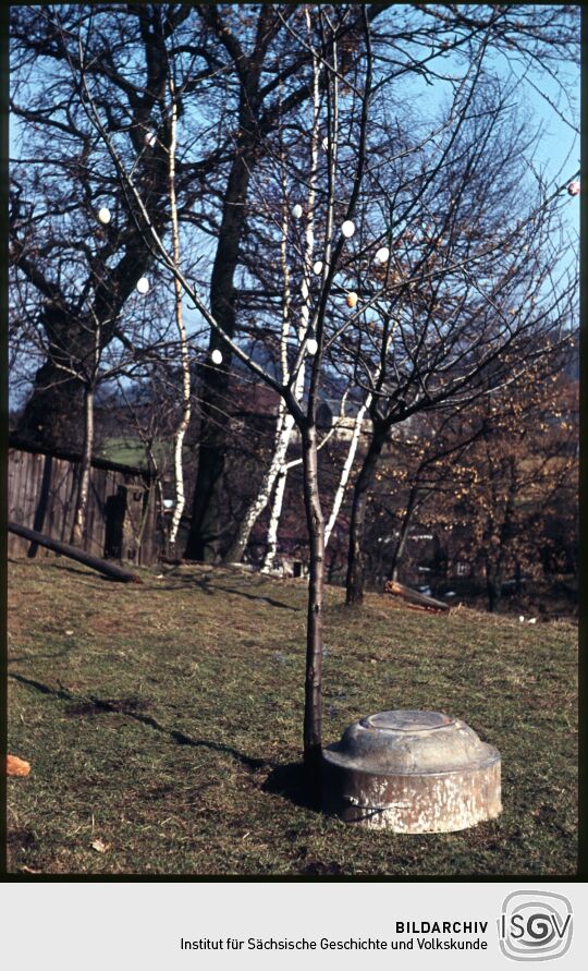 Österlich geschmückter Baum in einm Waltersdorfer Garten