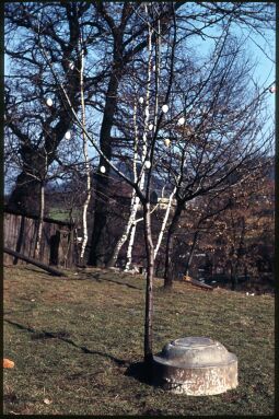 Bild: Österlich geschmückter Baum in einm Waltersdorfer Garten