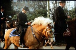 Bild: Osterreiter in Wittichenau