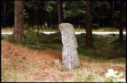 Bild: 'Steinernes Messer' (Sühnekreuz mit eineim eingravierten Messer) in der Dippoldiswalder Heide