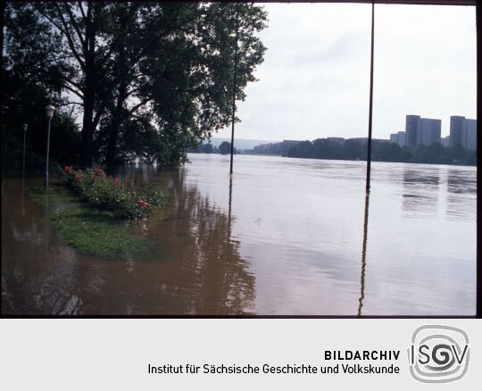 Blick vom Elbufer im Bereich des Rosengartens über das Elhochwasser zur Johannstadt