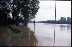 Bild: Blick vom Elbufer im Bereich des Rosengartens über das Elhochwasser zur Johannstadt