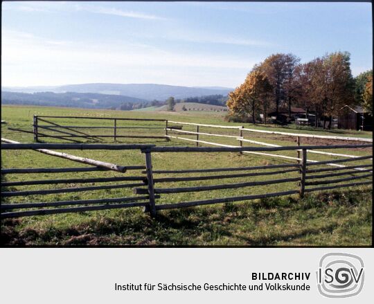 Holzumzäunte Wiese im Freiluftmuseum Landwüst