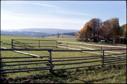Bild: Holzumzäunte Wiese im Freiluftmuseum Landwüst