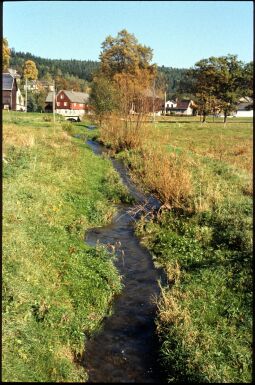 Bild: Ehemaliger Grenzbach bei Tiefenbrunn