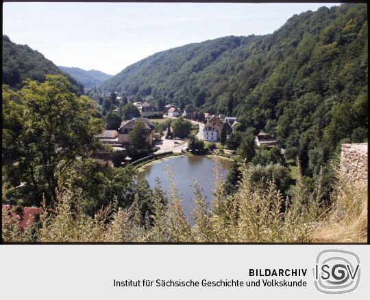 Blick vom Burgberg auf den Schlossteich in Tharandt