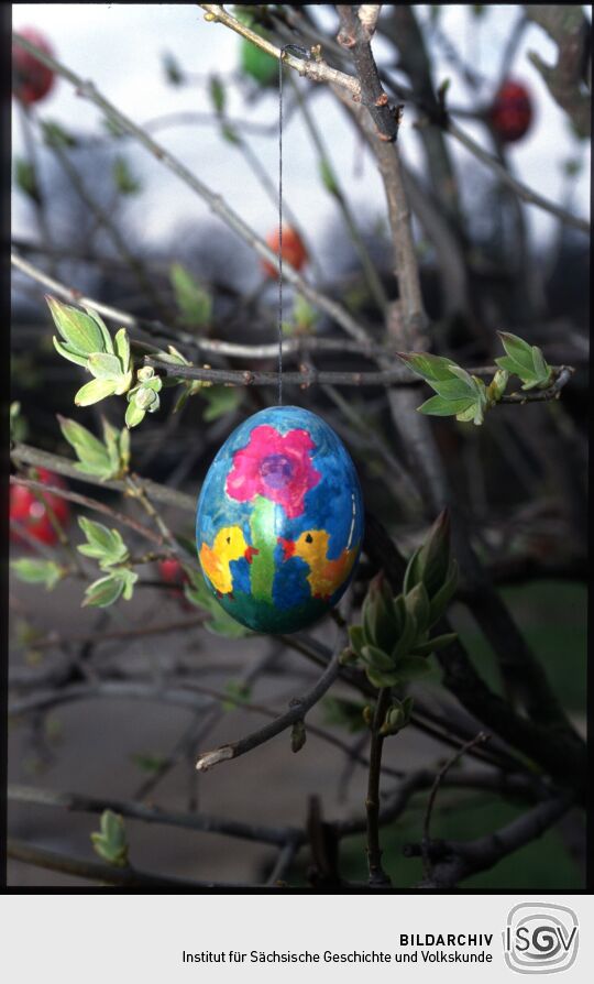 Ostereier an einem Busch in Stolpen