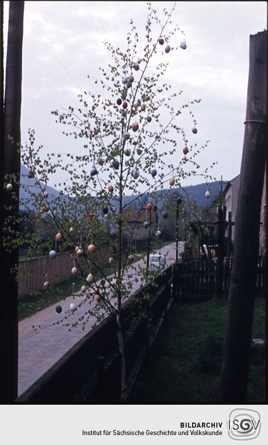 Osterbäumchen in Prossen