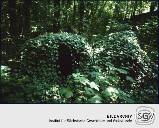 Efeuüberwucherte Gräber auf dem Eliasfriedhof in Dresden