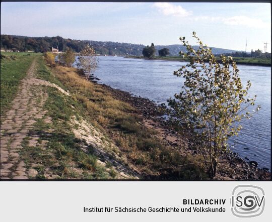 Blick auf die Elbe mit dem Dresdner Fernsehturm im Hintergrund