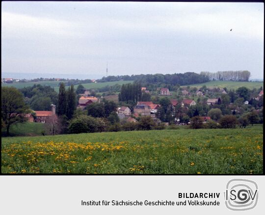 Blick auf Reitzendorf mit dem Dresdner Fernsehturm im Hintergrund