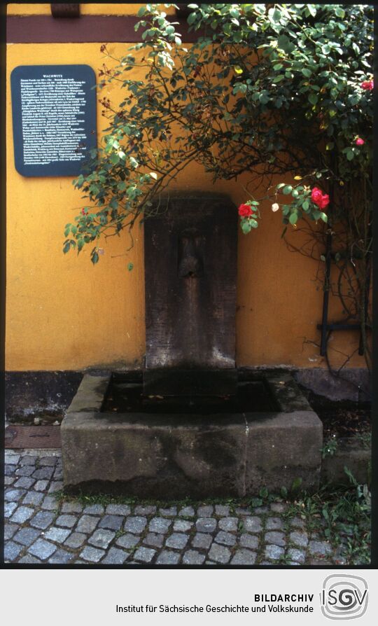 Brunnen am Brunnenhaus Wachwitz