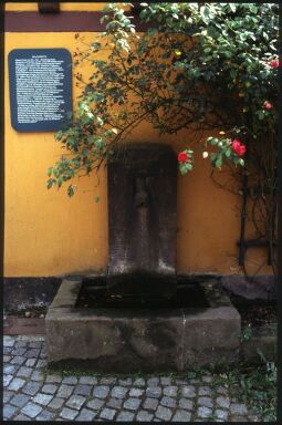 Bild: Brunnen am Brunnenhaus Wachwitz