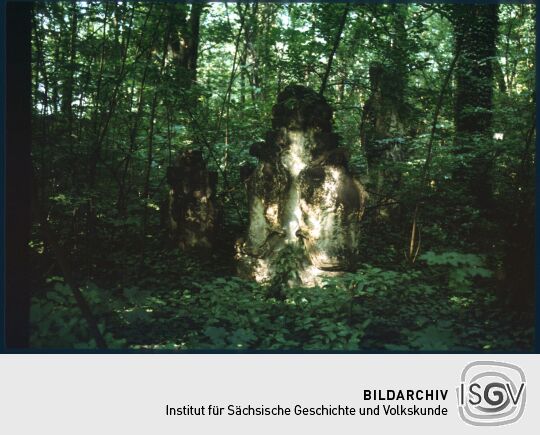 Gräber auf dem überwucherten Eliasfriedhof Dresden