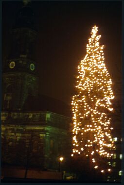 Bild: Leuchtender Weihnachtsbaum vor der Kreuzkirche am Dresdner Altmarkt