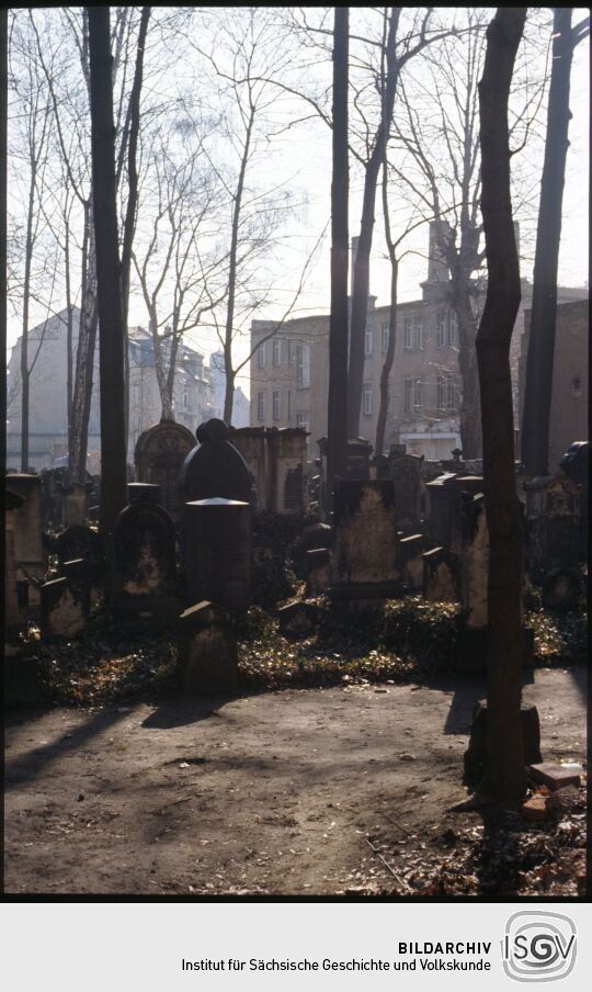 Blick über den jüdischen Friedhof in der Dresdner Neustadt