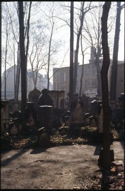 Bild: Blick über den jüdischen Friedhof in der Dresdner Neustadt