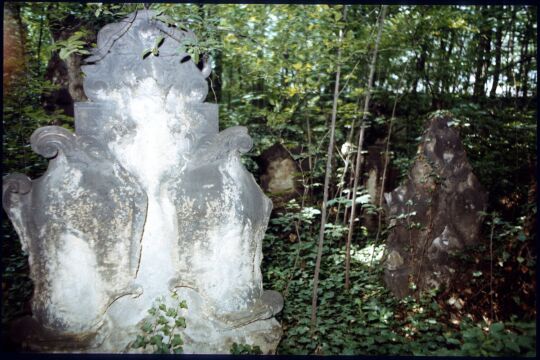 Gräber auf dem überwucherten Eliasfriedhof Dresden
