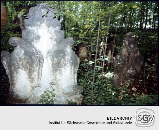 Gräber auf dem überwucherten Eliasfriedhof Dresden