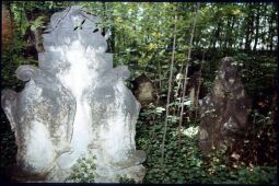 Bild: Gräber auf dem überwucherten Eliasfriedhof Dresden