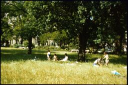 Bild: Kinder in einer Wiese am Kar-Marx-Platz (seit 1991 Palaisplatz)
