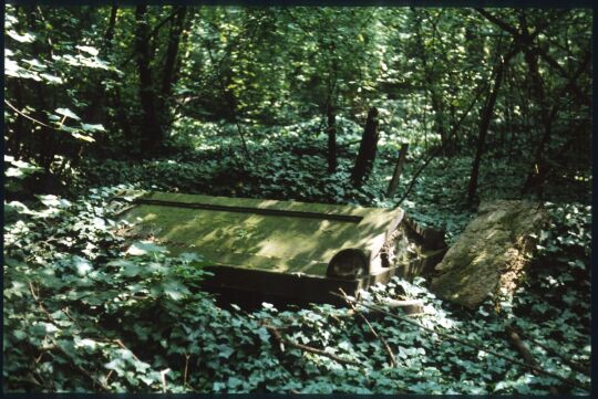 Grabmal in Form eines Sarkophags auf dem überwucherten Eliasfriedhof in Dresden