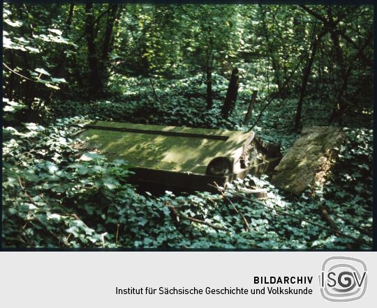 Grabmal in Form eines Sarkophags auf dem überwucherten Eliasfriedhof in Dresden