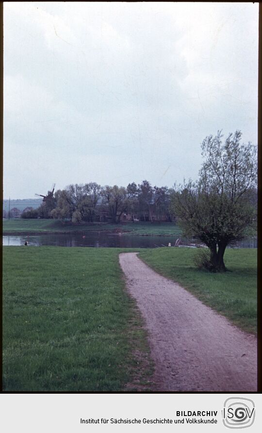 Blick von Kaditz über die Elbe zur Gohliser Windmühle