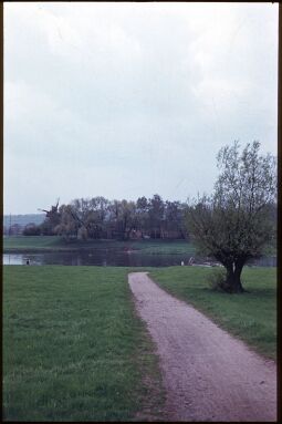 Bild: Blick von Kaditz über die Elbe zur Gohliser Windmühle