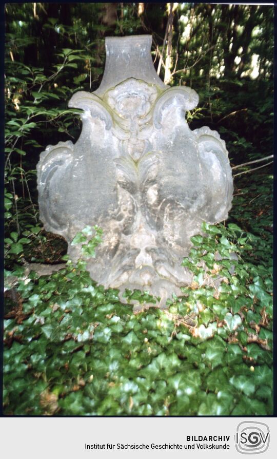 Grabstein mit Rokokokartuschen auf dem efeuüberwuchertem Eliasfriedhof in Dresden