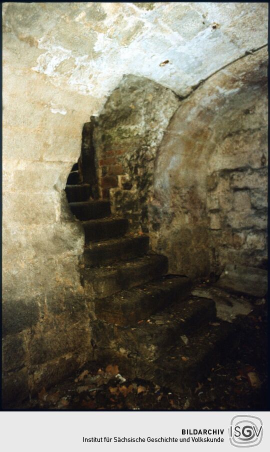 Kellergewölbe eines Gebäudes im Dresdner Obergraben im Bereich der Neustädter Stadtbefestigung