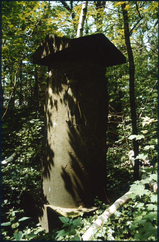 Grabmal auf dem überwucherten Eliasfriedhof in Dresden