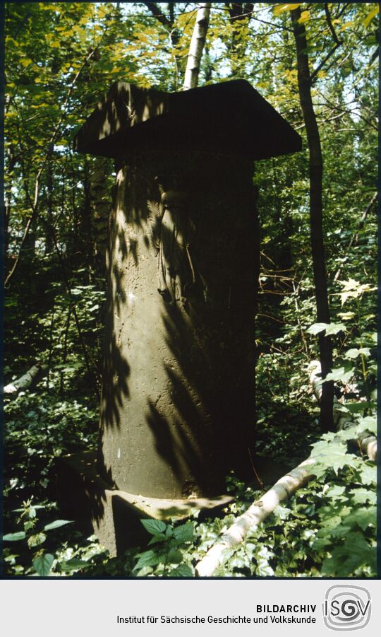 Grabmal auf dem überwucherten Eliasfriedhof in Dresden