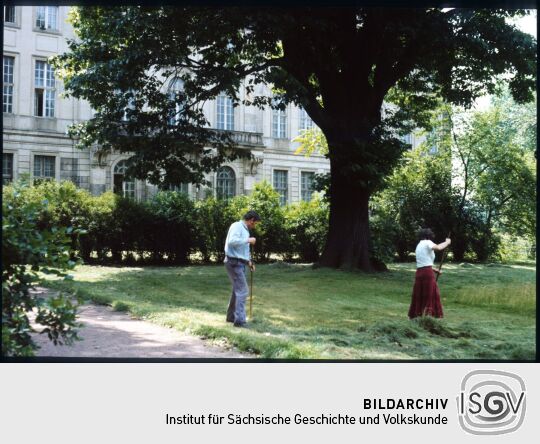 Zwei Personen beim zusammenrechen gemähten Grases vor dem Japanischen Palais in Dresden