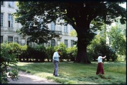 Bild: Zwei Personen beim zusammenrechen gemähten Grases vor dem Japanischen Palais in Dresden