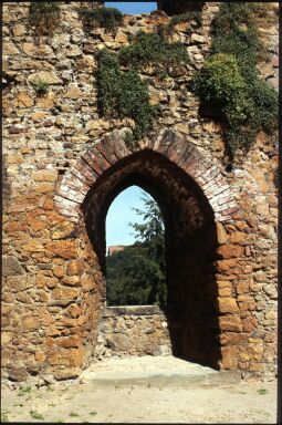 Bild: Fensteröffnung in der Ruine der Burg Tharandt