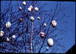 Bild: Ein Osterbaum in Gohrisch
