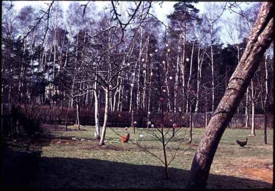 Ein Garten in Gohrisch mit Hühnern und einem Osterbaum