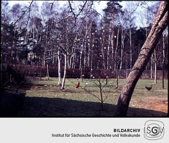 Ein Garten in Gohrisch mit Hühnern und einem Osterbaum