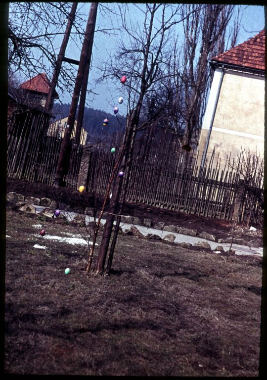 Ein Osterbaum in Gohrisch