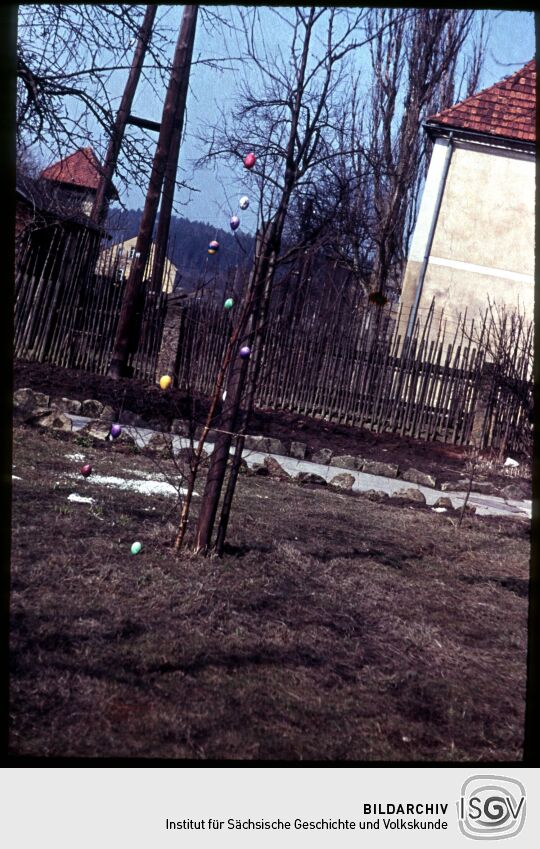 Ein Osterbaum in Gohrisch