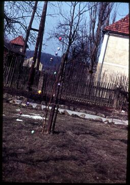 Bild: Ein Osterbaum in Gohrisch