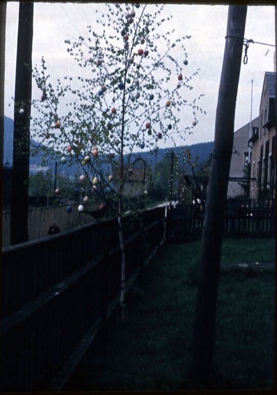 Osterbäumchen in Prossen