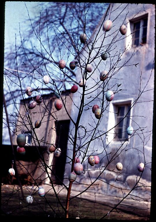 Osterbäumchen in Neugraupa