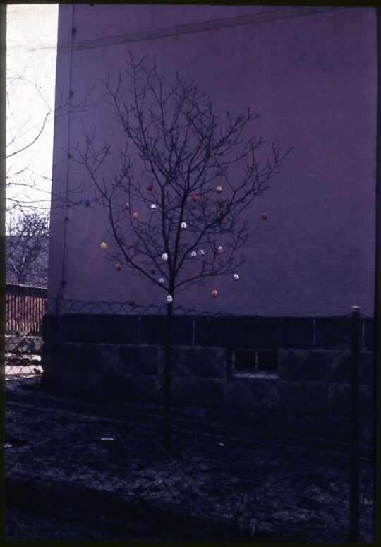 Osterbäumchen in Neugraupa