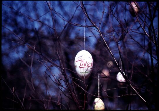 Ein Osterei mit der Aufschrift 'Frohe Ostern' an einem Osterbaum in Gohrisch